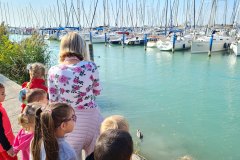 allatok-vilagnapja-01