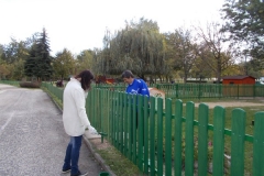 Kerítés festés szülői segítséggel (2)