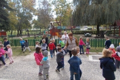 szüret 2017.10.11 (23)