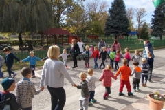 szüret 2017.10.11 (29)