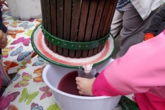 szüret 2017.10.11 (5)