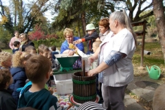 szüret 2017.10.11 (7)