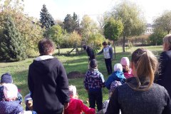 Kippkopp-Szulinap-es-Faultetes-02