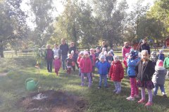 Kippkopp-Szulinap-es-Faultetes-05