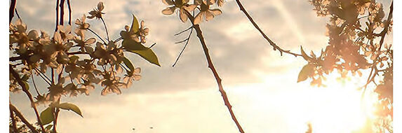 Balatonkenesei Hírlap 2017 május.1-page-001