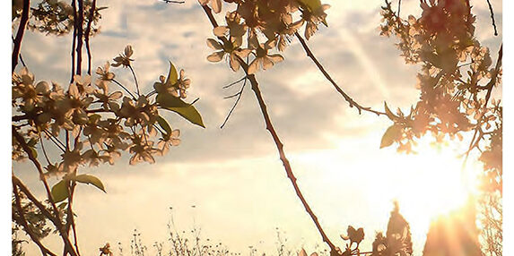 Balatonkenesei Hírlap 2017 május.1-page-001