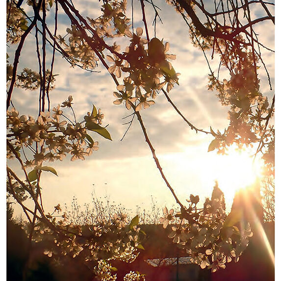 Balatonkenesei Hírlap 2017 május.1-page-001