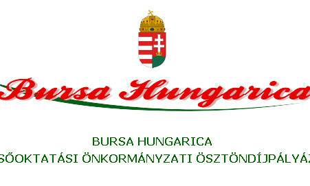 bursa