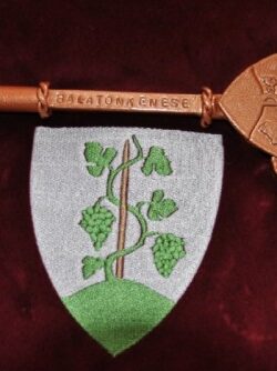 Lakossági tájékoztatás fák kivágásáról a Széchenyi parkban