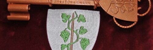 Lakossági tájékoztatás fák kivágásáról a Széchenyi parkban