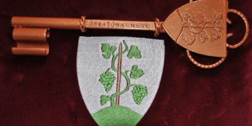 Lakossági tájékoztatás fák kivágásáról a Széchenyi parkban