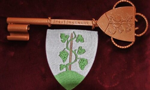 Lakossági tájékoztatás fák kivágásáról a Széchenyi parkban