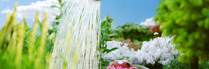 gartenarbeit – blumengießen