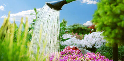 gartenarbeit – blumengießen