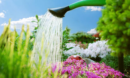 gartenarbeit – blumengießen