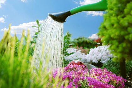 gartenarbeit – blumengießen