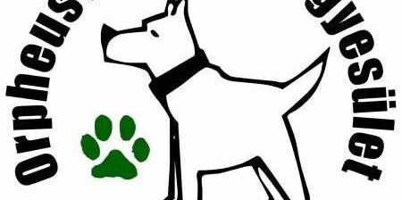 Állatbarát Plakátpályázat 2018.