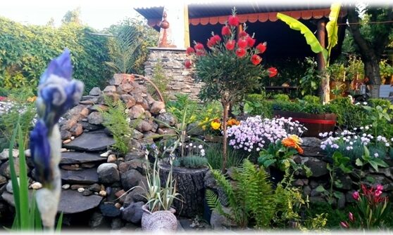 virágos balatonkenese