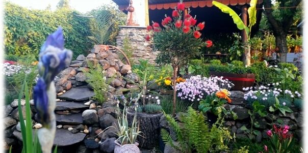 virágos balatonkenese