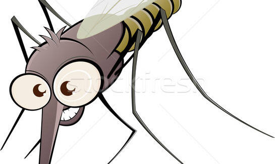 ÉRTESÍTÉS LÉGI KÉMIAI SZÚNYOGGYÉRÍTÉSRŐL