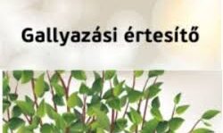 gallyazási munkálatokról értesítő kép