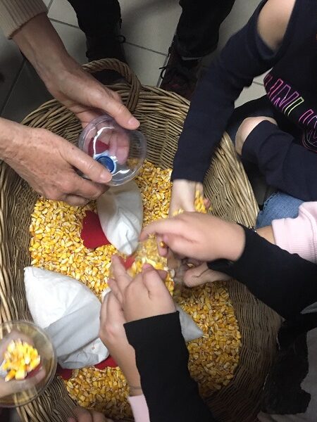 marton napi libasagok – 001