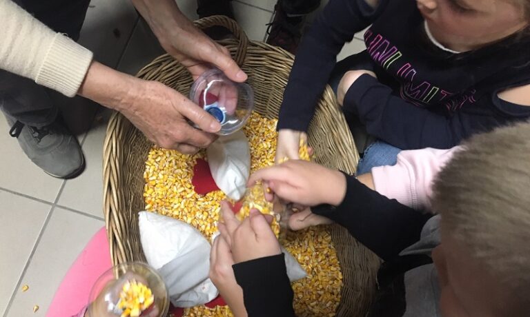 marton napi libasagok – 001