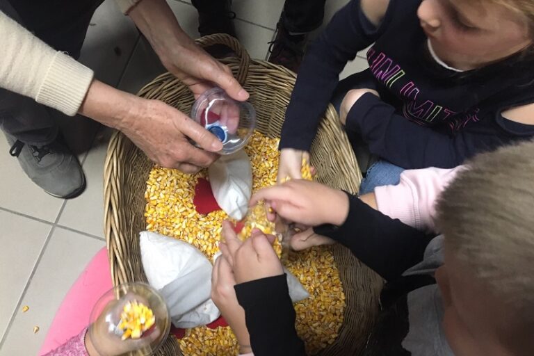 marton napi libasagok – 001