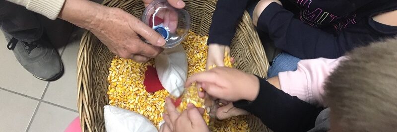 marton napi libasagok – 001