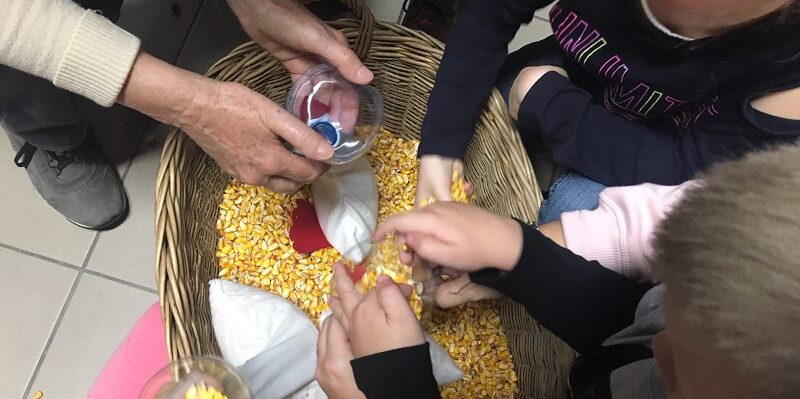 marton napi libasagok – 001