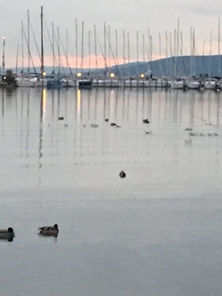 Milyen Balaton Régiót szeretne