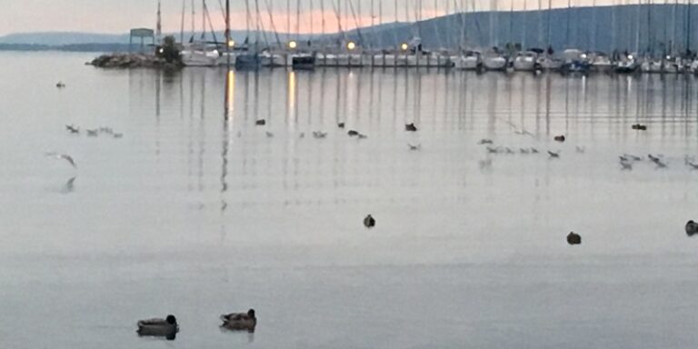 Milyen Balaton Régiót szeretne