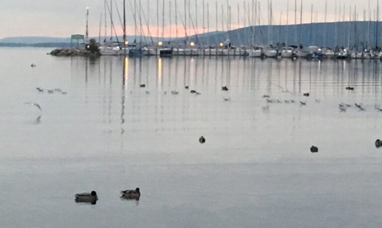 Milyen Balaton Régiót szeretne