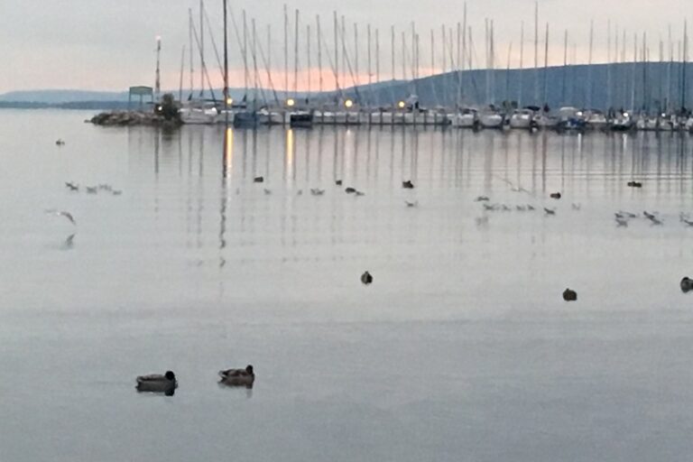Milyen Balaton Régiót szeretne
