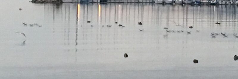 Milyen Balaton Régiót szeretne