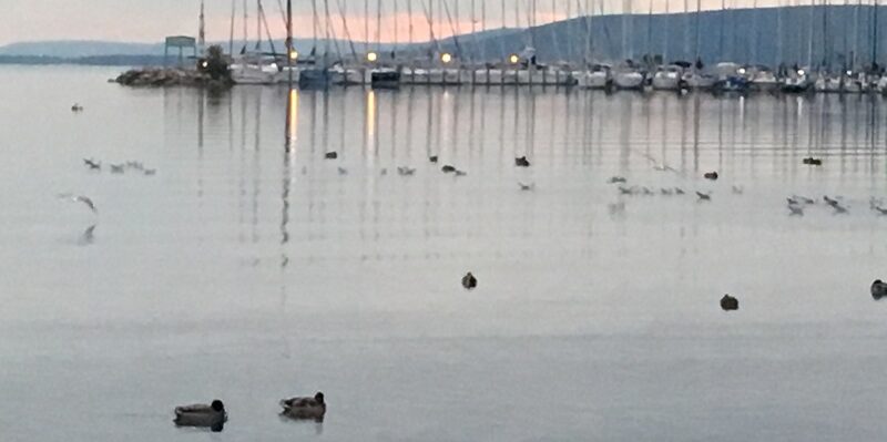 Milyen Balaton Régiót szeretne