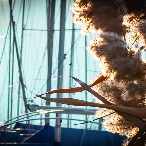 A legfontosabb tudnivalók a helyi védekezésről