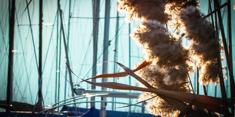 A legfontosabb tudnivalók a helyi védekezésről