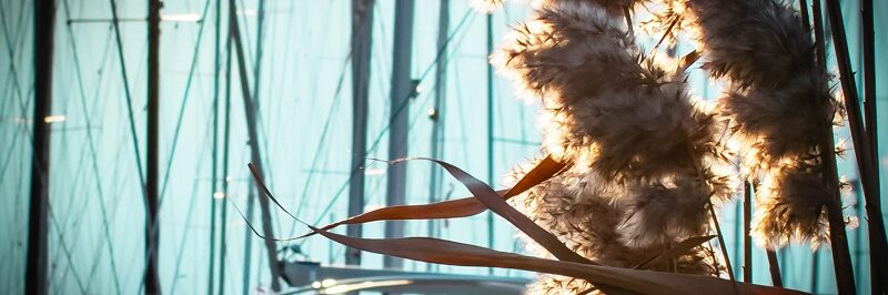 A legfontosabb tudnivalók a helyi védekezésről