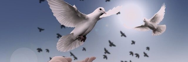 Felhívás adományozásra