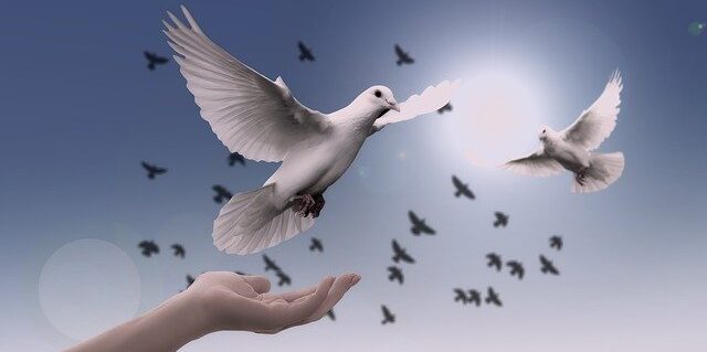 Felhívás adományozásra