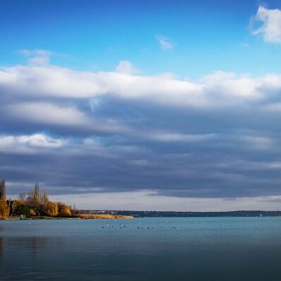Polgármesteri határozat az egyes korlátozások feloldásáról