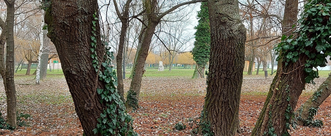 Balatonkenese … Balatonkenese