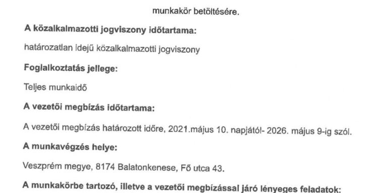 Városgondnokság vezető pályázat-page-001