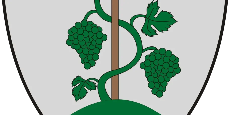 vektoros logo áttetsző