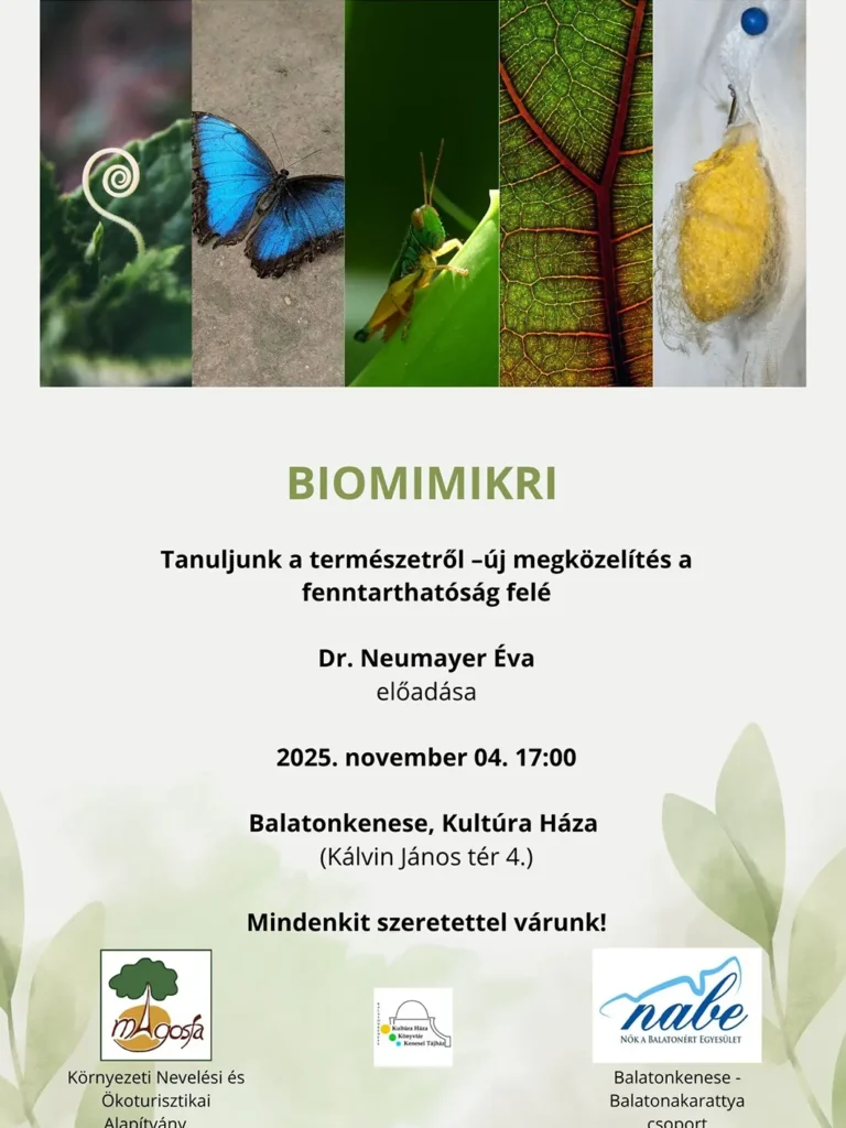 biomimikri