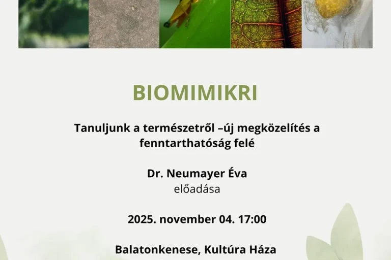 biomimikri