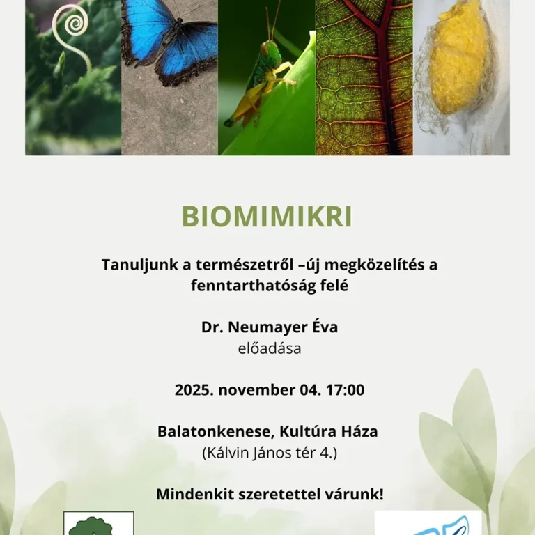 biomimikri