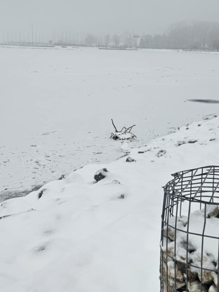 jegen tartozkodni tilos