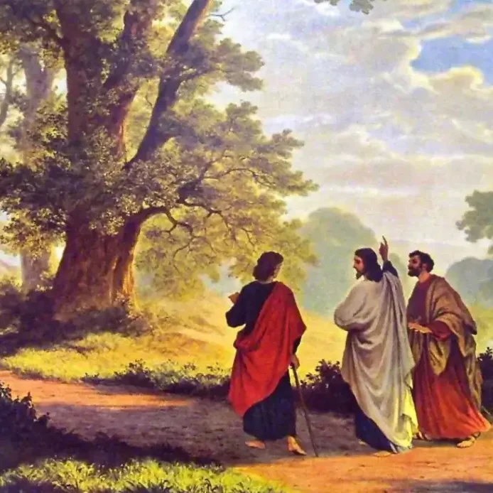 református cikk mellé